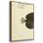 " Bloch Antique Fish V " 3 - Pieces-1360002868-1360002864