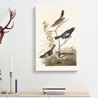 Finches & Sparrows - Wrapped Canvas Painting