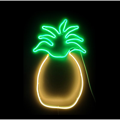 Enseigne néon tropicale 24 po Mynatt
