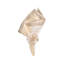 Dip Dye Linen Napkin-57345268