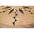Zinia Flatweave Indoor Rug-568953272