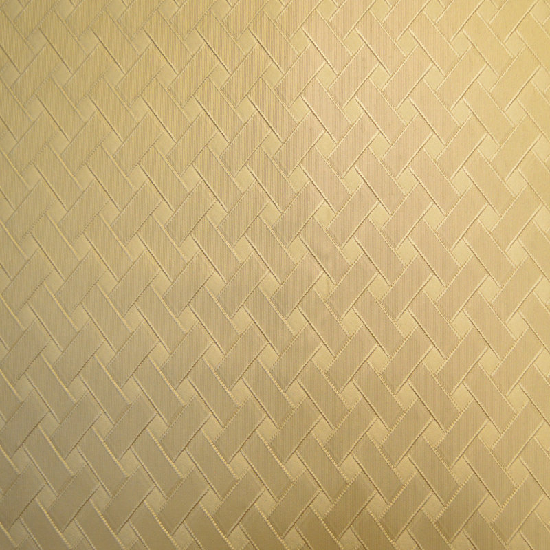 Tissu de colon