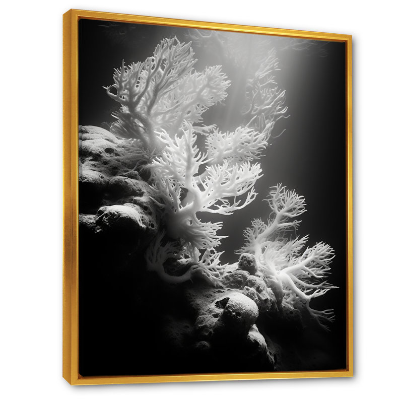 Anémone noire et blanche IV sur toile, Cadre flottant doré, H 44 po x l 34 po x P 1,5 po