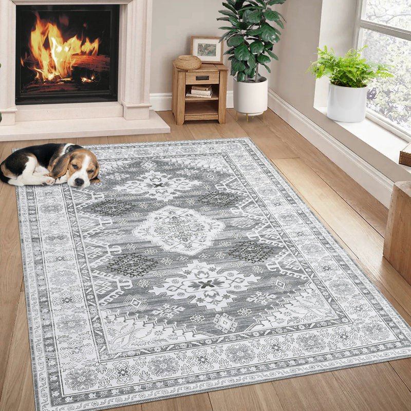 Machine Washable Rugs Vintage Non-Slip Low Pile Rubber Backing Area Rug for Living Room Bedroom Kitchen Dining Room Dorm and Bedside Decor