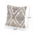 Adonis Throw Pillow