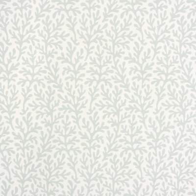 Sea Coral Wallpaper