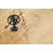 Brushed Uv Oiled Oak is out of stock