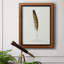 Toile encadrée Found Feather III de qualité supérieure - prête à être accrochée-342668591