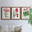 Roseat Blooms I - ensemble de 3 peintures sur toile encadrées-828588972-828588951