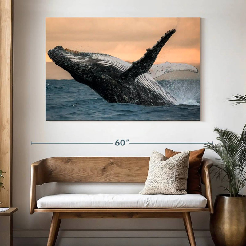 Brampt Humpback Whale Toss, 34" H x 51" W