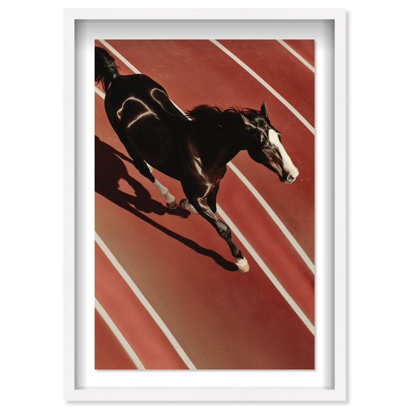 Velocity Vector Framed Graphic Art, 37.5"H x 25.5"W, White Shadowbox