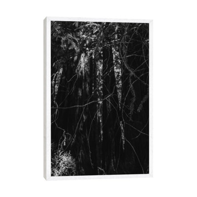 Redwood Forest XIII 1 Piece Wall Art on Canvas