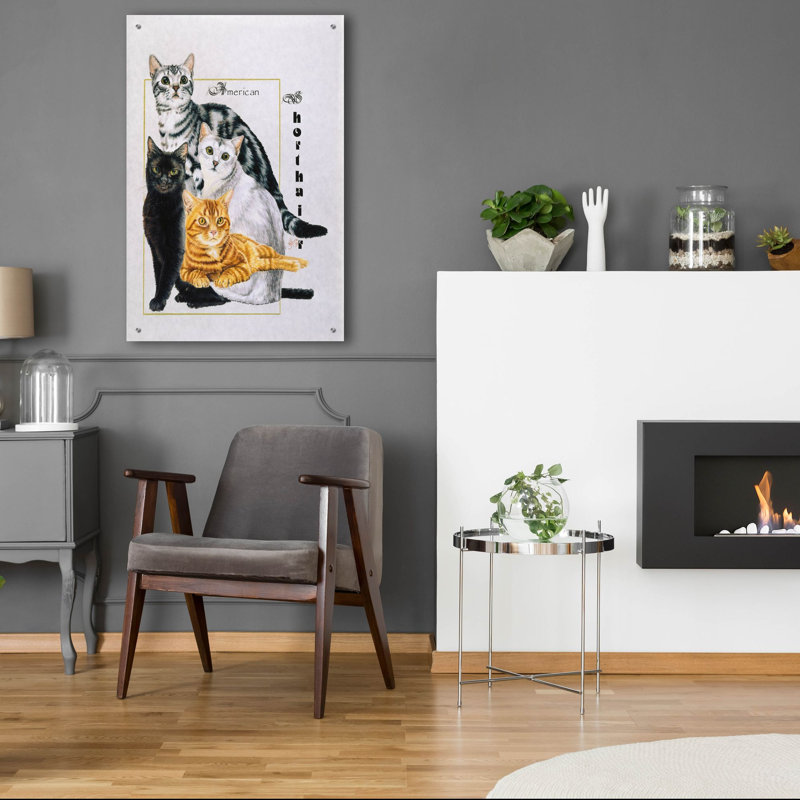 American Shorthair sur plastique / acrylique par Barbara Keith, H 36 po x l 24 po x P 0,2 po