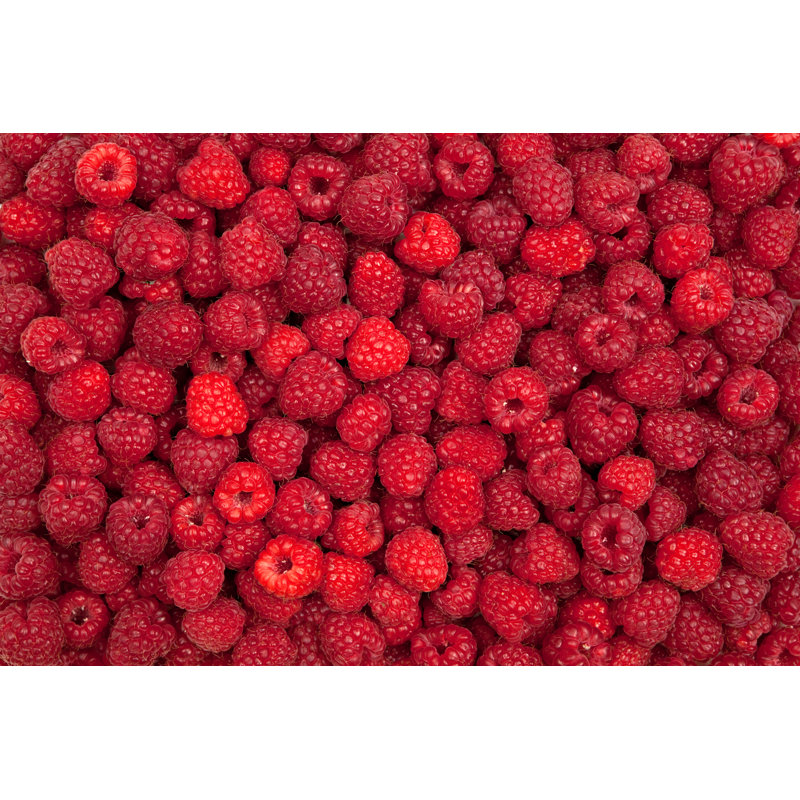 Beaucoup de framboises fraîches par Amripoto, H 20 po x l 30 po