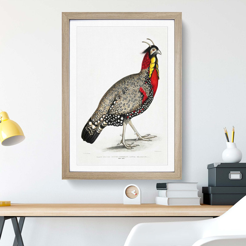 Horned Pheasant by John Edward Gray - Picture Frame Painting Print, Oak Framed, 65cm H x 48cm W x 2cm D
