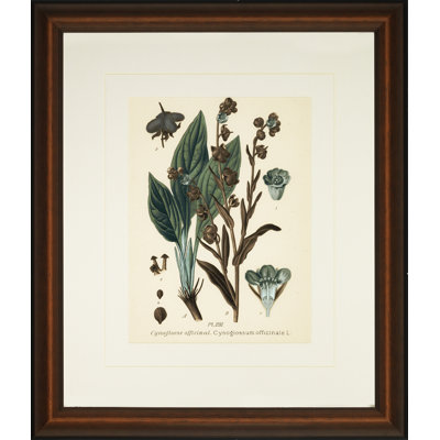 «Verde Tinted Botanical II», cadre photo