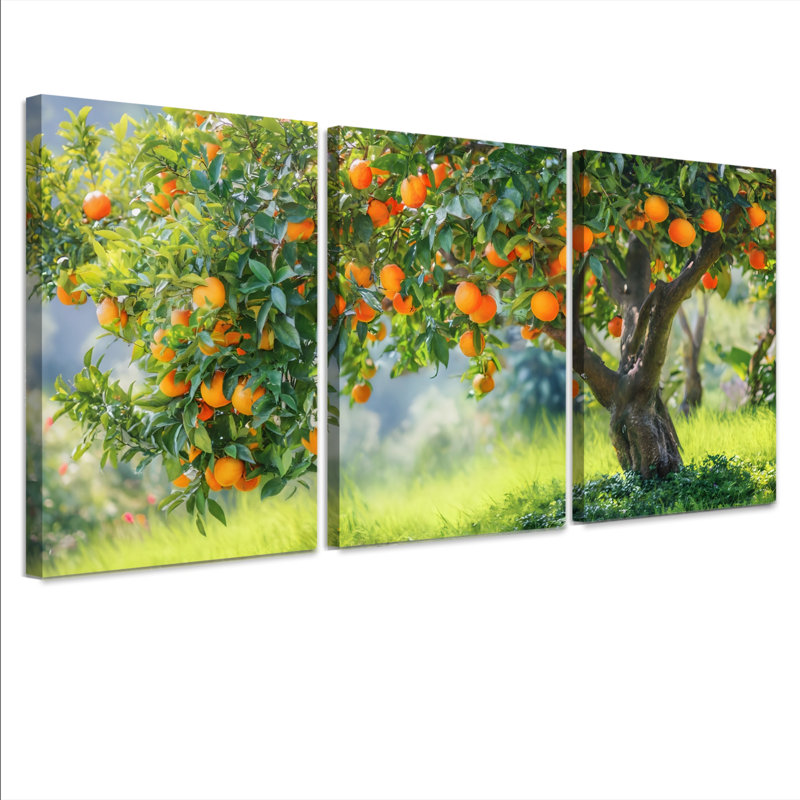 Orange Orchard, reproduction d'art sur toile tendue sur toile, ensemble de 3, H 18 po x l 36 po