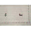 Tapis tribal indien à petits animaux 5 x 5