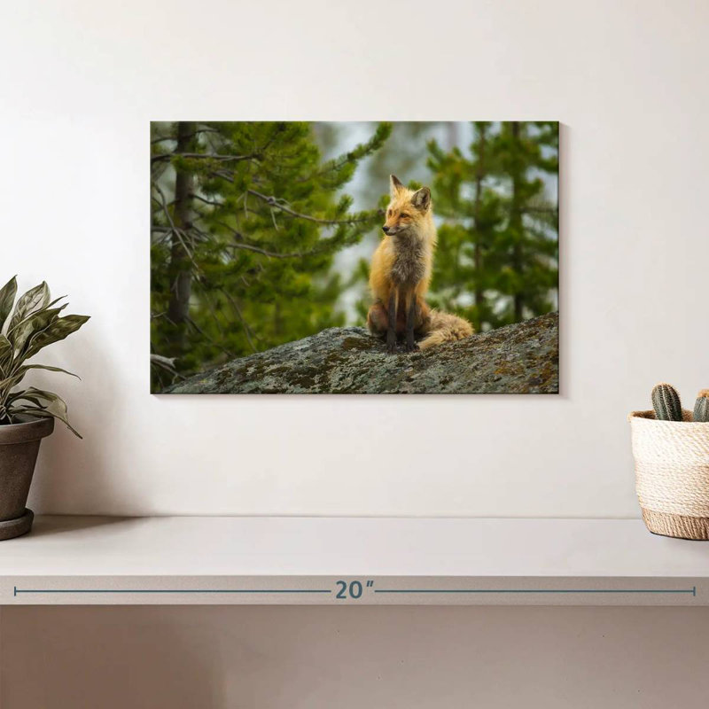 Brampt Red Fox Vixen, 8" H x 12" W
