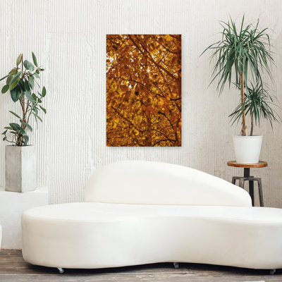 Guanella Pass Sunburst Abstract Contemporary Art