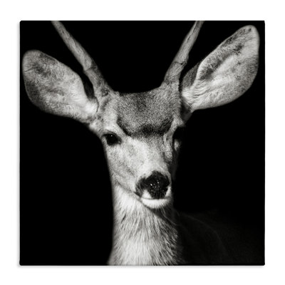 «Gazing Deer Portrait» par Kathy Mansfield