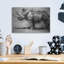«Security Guard Rhino» par Robert Campbell, art mural en verre acrylique Latitude Run®, 36 po x 24 po-1370510051
