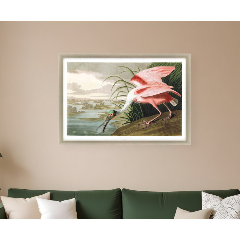 Art mural encadré argenté Roseat Spoonbill
