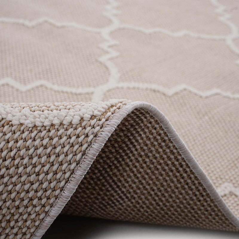 Collection Trellis Indoor/Outdoor Area Rug, Rectangle 5'3" x 7'6"