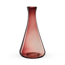 https://assets.wfcdn.com/im/46312571/resize-h210-w210%5Ecompr-r85/2476/247668285/50oz.+Glass+Wine+Decanter.jpg