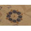 Wool Oriental Rug