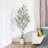 Altman Faux Olive Tree with White Planter-82313840