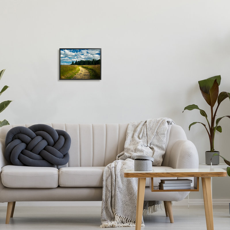 Chemin de campagne nuageux dans les prairies par Dennis Frates, Giclée encadrée noir minuit, H 11 po x l 14 po x P 1,5 po
