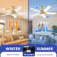 Ventilateur de plafond avec lumières DEL Rahaf