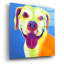 «Pit Bull - Daisy» par Dawg Painter-2099556126