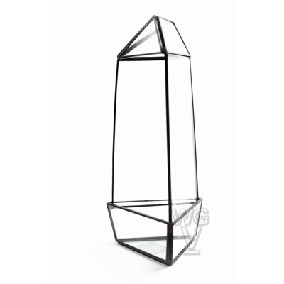 Terrarium en verre oblisk triangulaire