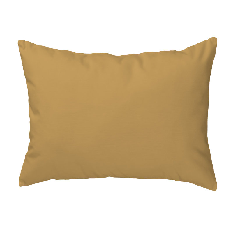 Outdoor Throw Pillow, 20" x 24"