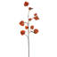 30.5" Orange Artificial Dried Lantern Spray, 2 per bag.