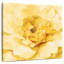 Pivoine jaune vif Harnek-109209412