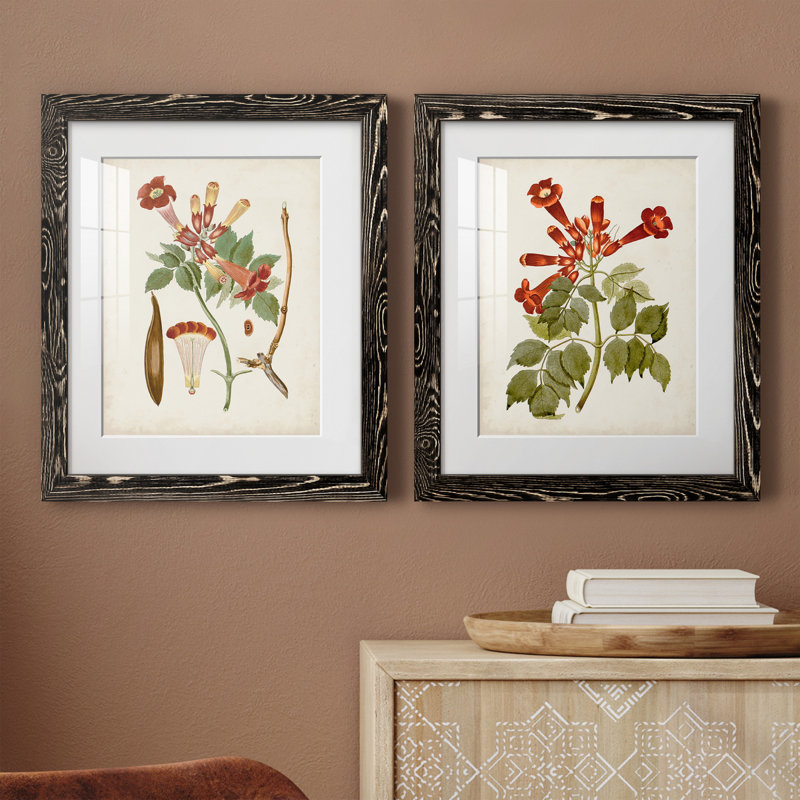 «Vintage Flowering Trees V», ensemble de 2 reproductions d'art sur papier encadrées, Cadre en papier gris