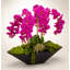 Orchid Floral Arrangement in Metal Planter-1631569103