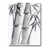 Toile tendue