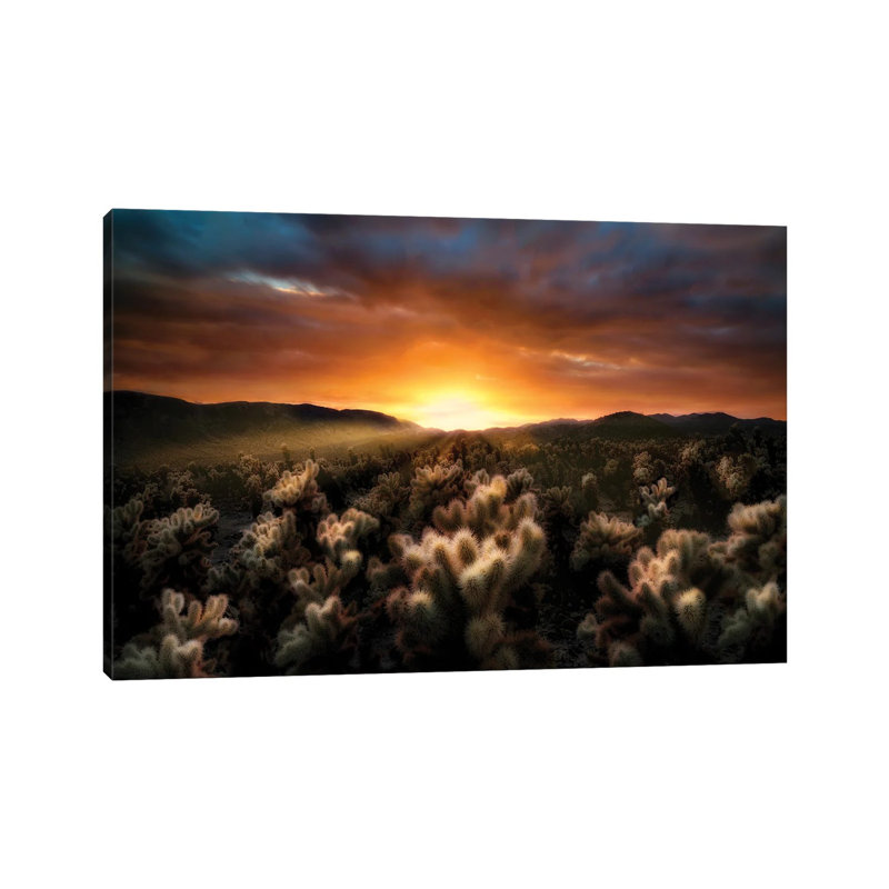 Cholla Sunrise by Dennis Frates - No Frame Gallery-Wrapped Canvas Giclée on Canvas, 101.6 cm H x 66.04 cm W