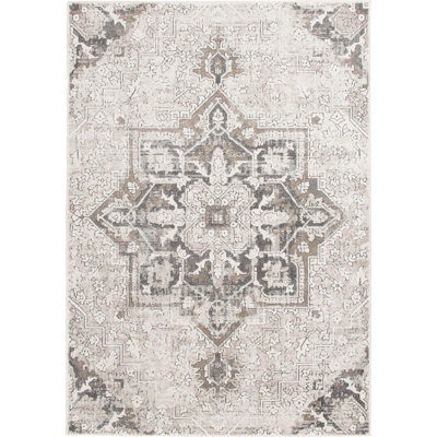 Bungalow Rose Allure Jazminski Gray Area Rug