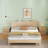 19.7-Inch Nightstand with 2 Drawers-1892422025