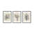 Black Framed Paper selected