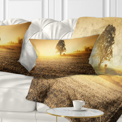 Coussin Schafer
