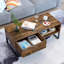 Sled Coffee Table with Storage
