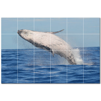 Dolphin Photo 12'' x 12'' Satin Ceramic Decorative Mural -  Picture-Tiles.com, PT500510-54XL