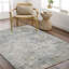 Oriental Area Rug-1518967536