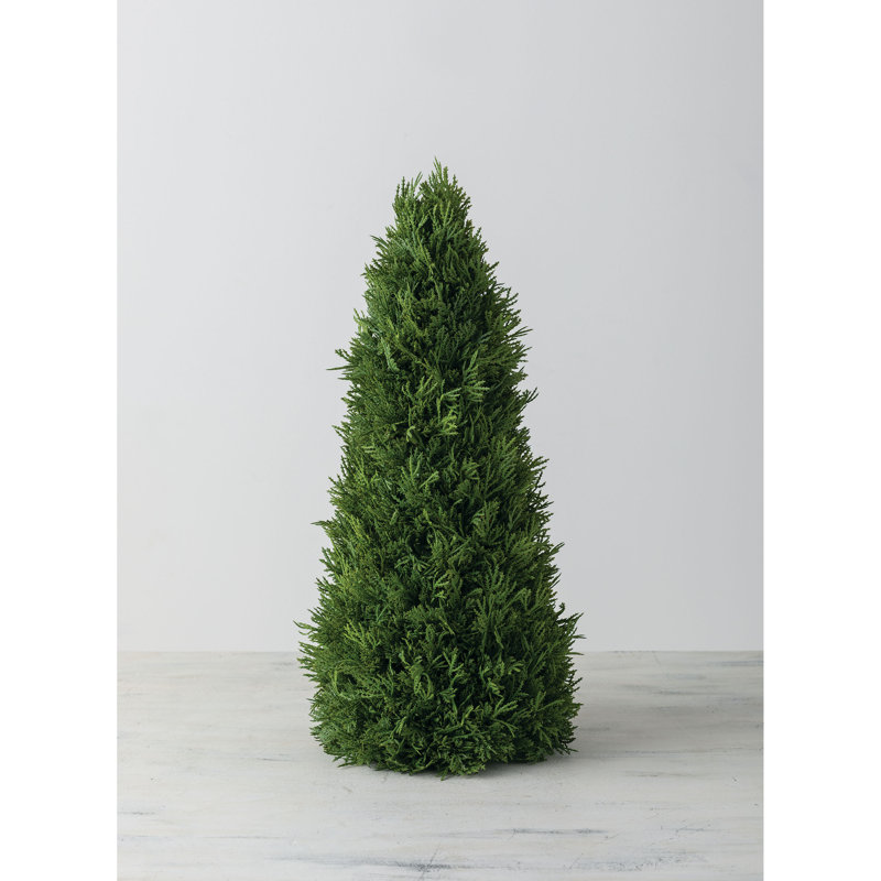 Cèdre de table et arbre pin